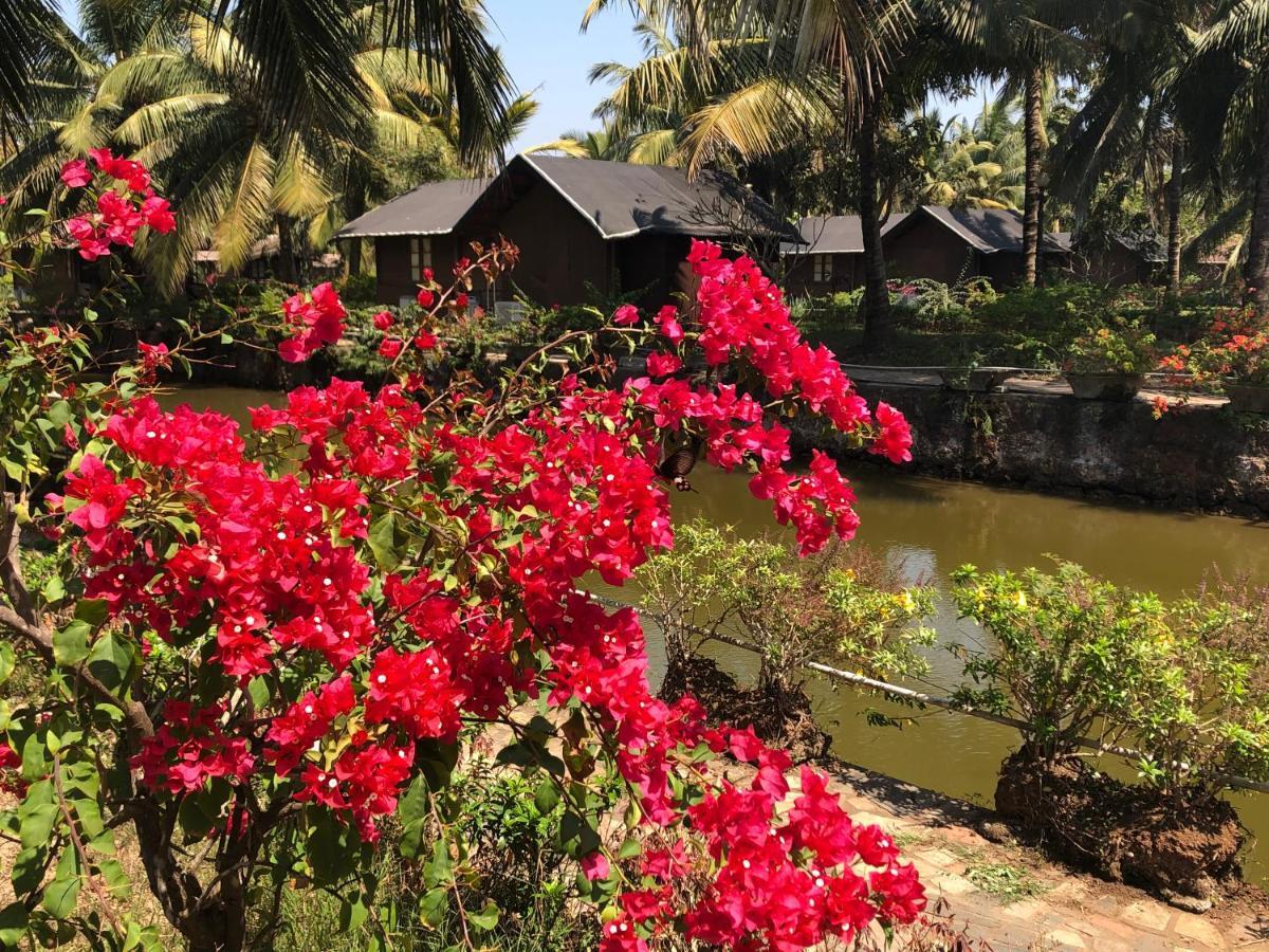 Resort Primo Bom Terra Verde Бага Екстериор снимка